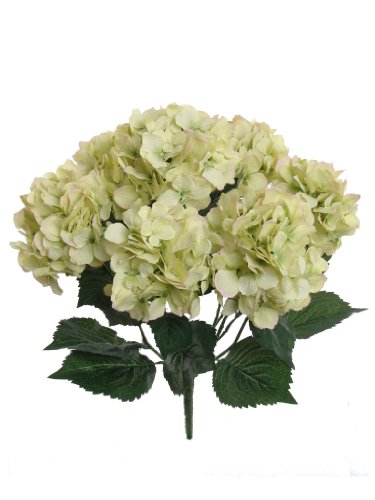 Larksilk Hydrangea Artificial Flowers - Faux Hydrangea Flowers - Home Decor, Easter Decorations, Spring Decor - Floral Centerpieces for Tables - 20" Floral Stems, Green, 6 Pieces - color: Green, size: Pack of 6