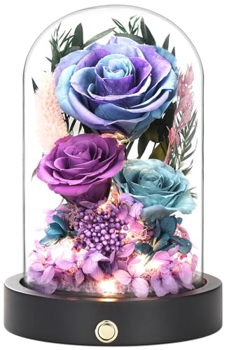 Birthday Gifts for Women Purple Preserved Flowers in Glass Dome Forever Flowers for Delivery Prime, Colorful Forever Roses Anniversary Mothers Day Valentines Day for Her Mom Wife - color: Starry Purple & Blue