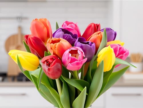 Stargazer Barn 15 Stem Rainbow Tulips Bouquet - Fresh Cut Flower Delivery, Hand-Tied in the USA, Gift for Birthday, Anniversary, Sympathy or Home Decor - Vase Not Included - color: Rainbow
