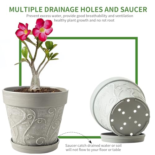 Melphoe Plant Pots Indoor with Drainage & Saucer, 2Pack 10 inch Flower Pots Outdoor Planters for Indoor Plants Garden Home Decor Cactus Succulent, Rigid Plastic (Imitation-Terracotta) Vine-Embossed - color: Cement Grey Color, size: 10''