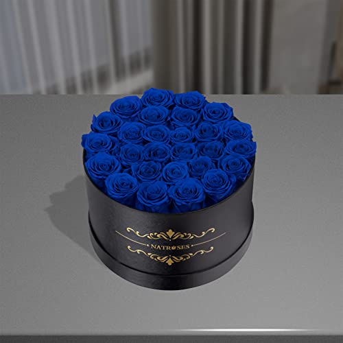 NATROSES Gifts for Her 27 Piece Forever Preserved Roses in a Box, Preserved Flowers for Delivery Birthday, Flowers Gifts for Mothers Day, Royal Blue - color: Royal Blue, size: 27 Roses
