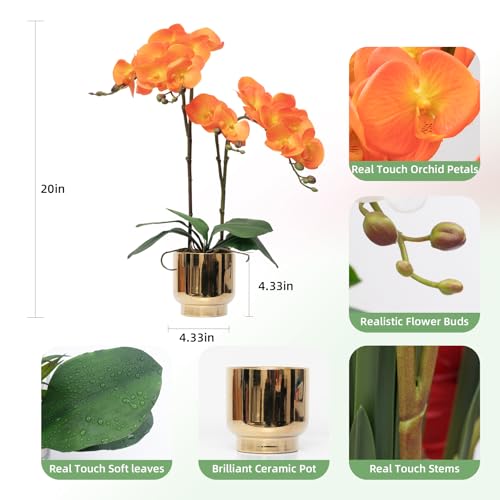 CXGS Orchids Artificial Flowers Real Touch Fake Flowers in Ceramic Pot 20" Orange Faux Orchid Plant Lifelike Silk Phalaenopsis for Centerpiece Hotel Home Indoor Decor - color: Orange- Gold Vase