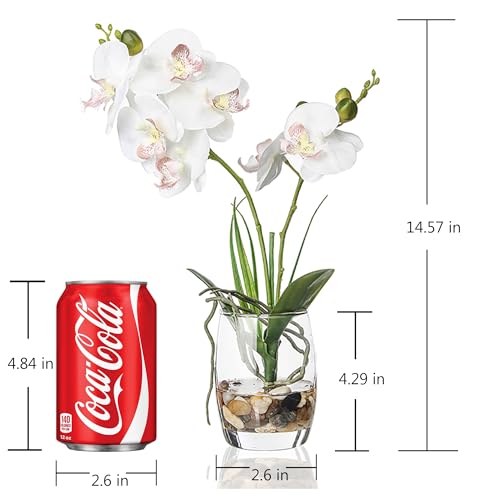 Jusdreen White Orchid Centerpiece in Glass Vase, 14.5 Inch Artificial Phalaenopsis with Potting for Home Office Decor, Table Centerpiece - color: Glass-white