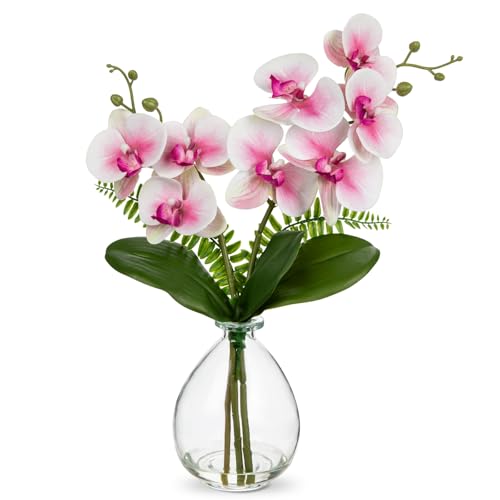 Oairse Pink Orchids Artificial Flowers, Faux Orchid in Glass Vase Real Touch Small Phalaenopsis Orchid Flowers Arrangements with Clear Vase Orchids Centerpiece for Dining Room Table - color: Pink & Clear