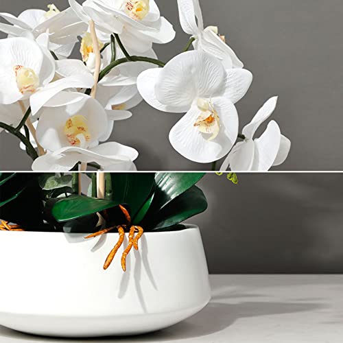 HinyoCo 5 Pcs Artificial Orchid Flowers and 4 Bundles Leaves, Artificial Phalaenopsis Flowers 32 Inch Stem Plants for Home Wedding Decoration (White) - color: White