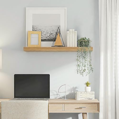 Mkono Fake Hanging Plants in Farmhouse Galvanized Pots Rustic Faux Potted Eucalyptus Greenery Indoor Artificial Plants for Book Shelf Mantel Living Room Bathroom Bedroom Home Office Decor (1, Black) - color: Black