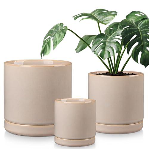 vancasso Ceramic Planters, Plant Pots for Indoor Plants, 6.25+8.25+10.25 Inch Ceramic Pots for Plants, Flower Pots with Drainage Holes (Gray, 6.25+8.25+10.25 Inch) - color: Gray, size: 6.25 + 8.25 + 10.25 Inch