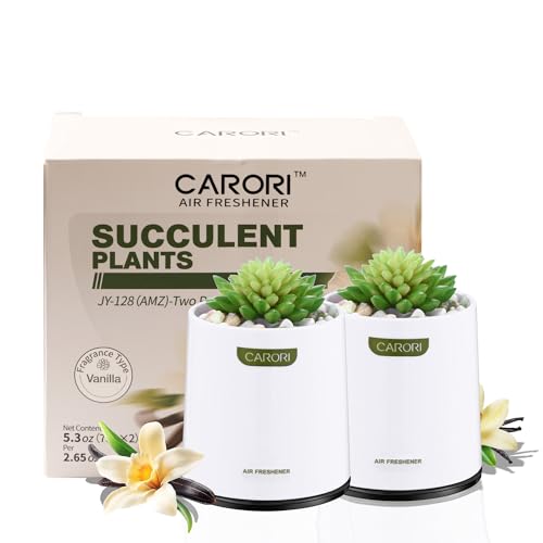 2 Pack Artificial Succulent Plants with Subtle Vanilla Scent, Faux Indoor Plants for Home Decor, Small Fake Plant for Bathroom, Bedroom, Office Decor, Aesthetic Room Accessories, Housewarming Gift - style: 2 Pack Vanilla