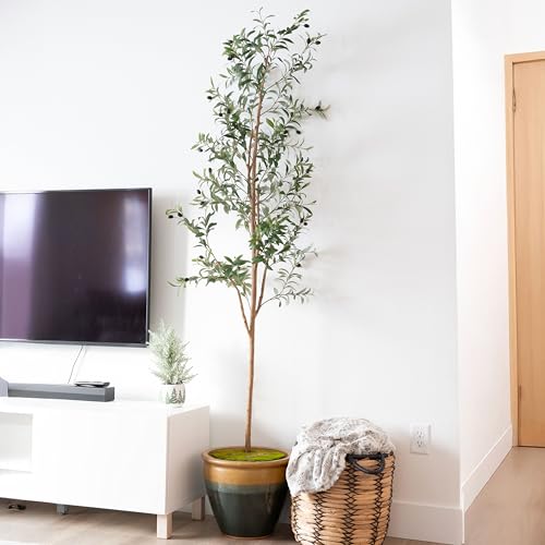 Sunnydaze Fake Olive Tree - 7ft Tall Faux Olive Tree with Pot - Indoor Artificial Plant with Black Weighted Base and Silk Leaves - Set of 2 - size: 7 ft