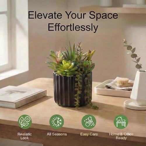 8 Inch Fake Plants Artificial Succulent Plants，Black Ceramic Flower Pot，Assorted Faux Mini Succulents in a Decorative Planter Pot. - color: Black