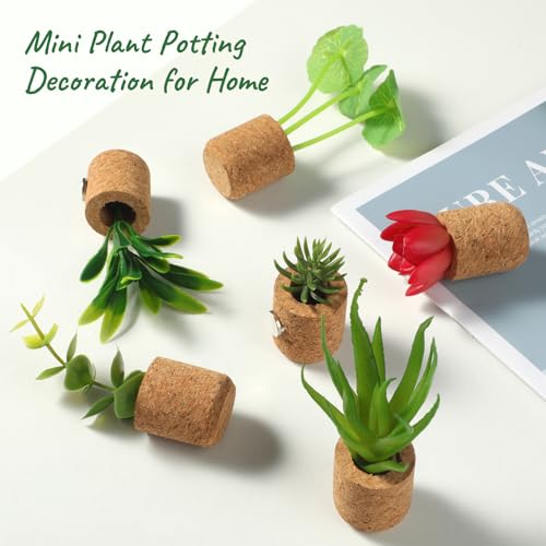 Joyibay Plant Fridge Magnets Mini Succulent Magnets Artificial Plants Refrigerator Magnets Potted Succulent Plants Magnet Stickers Cute for Magnet Boards Fridge Home Office Decor