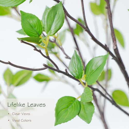 Bellacat 6ft Artificial Minimalist Citrus Tree with Lifelike Leaves, 72in Faux Citrus Tree with Realistic Trunks, Faux Tree Indoor Outdoor for Home Office Living Room Bedroom Porch Decor. - color: Black, size: 6ft