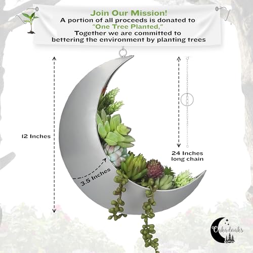 Hanging Moon Planter for Moon Room Decor - Great for Succulents, Air Plant, Mini Cactus, Faux, Artificial Plants-Boho Hanging Planters for Indoor Plants, Witchy Gifts for Women, Birthdays,Plant Lovers - color: Silver Moon Planter Only