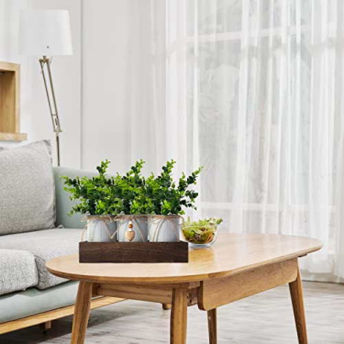 CALAVAK Decorative Centerpiece Wooden Tray with 3 Metal Potted Artificial Eucalyptus Rustic Country Home Décor for Dining Room, Living Room and Kitchen Table - style: Eucalyptus