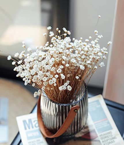 Natural - Dried - Flowers Brazilian Small Star Daisy Dried Decorative Mini Chamomile Bouquet for Wedding Floral Arrangements Home Decorations Valentine's Day Gifts (200 Stems) (White) - color: White