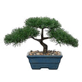 Artificial Bonsai Tree Juniper Faux Plants Indoor Fake Plants Decor with Blue Ceramic Pots for Home Table Office Desk Bathroom Shelf Bedroom Living Room Farmhouse Decorations-Pine - style: 6" Blue Glazed