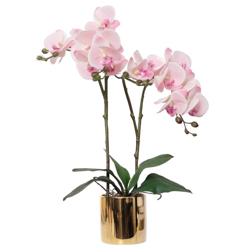 CXGS Artificial Orchid Flower Plant Real Touch Faux Orchids in Ceramic Vase Pink 19.7'' Fake Phalaenopsis Flower Arrangement Centerpiece Home Indoor Decor - color: Pink- Golden