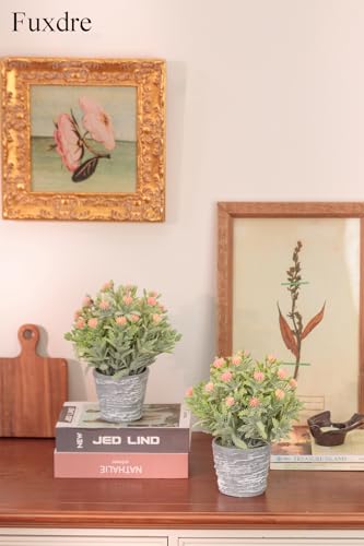 2 Pack Small Desk Plants, Artificial Bathroom Plants Decor with Flower in Vintage Melamine Pots, Faux Plants Indoor for Shelf Decor in Home Office, and Spring Decor (Peach) - color: Peach