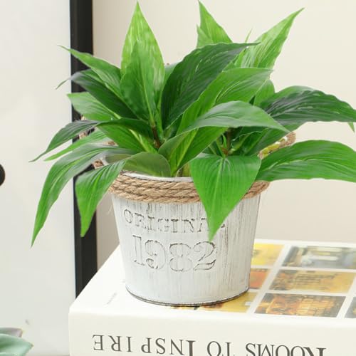 CATTREE Artificial Agave Plants Outdoor Fake Shrubs Faux Grass Plastic Leaves Greenery Bushes Plant for Home Decor Garden Wedding Party Decorations Indoor Yard UV Resistant Planter Filler Green 4 Pack - color: Agave Grass - Green 4 Pcs