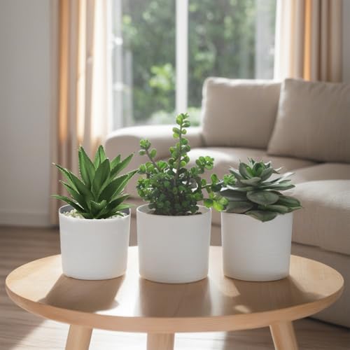 Hopewood Succulent Plants Artificial in White Pots Small Faux Potted Succulents Fake Plants in Vase Set of 3 - color: Faux Plants-white