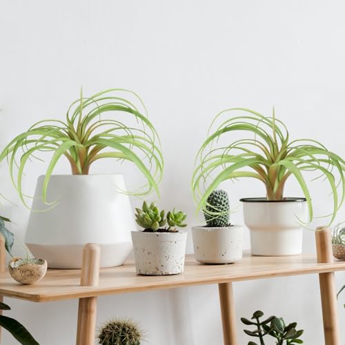 uxcell 1Pcs Artificial Succulent Plants Fake Pineapple Grass, 8 Inch Large Faux Succulents Unpotted Real Touch for DIY Home Wedding Garden Office Outdoor Floral Decoration, Green - color: Green