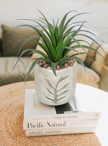 Hollyone 2 Pack Small Artificial Succulents Plants Potted Fake Spiked Succulent Plant in Rustic Pot Mini Faux Plant Agave Aloe Plant Indoor for Office Desk Farmhouse Home Table Shelf Boho Decor - color: Green #2