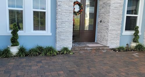 ALL SEASON GREEN 5' Cypress Artificial Outdoor Plants Boxwood Topiary Spiral Front Porch Decor Tree Potted Set of 2 - size: 5 ft
