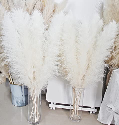 10 Stems 40-inch White Pampas Grass Decor Tall, Large Pampas Grass, Boho Neutral Home Decor Bouquet. Fluffy Pampas Grass for Floor Vases, Wedding Floral Arrangements, Wall Decor, Farmhouse Table Decor - size: 10PCS-40inch