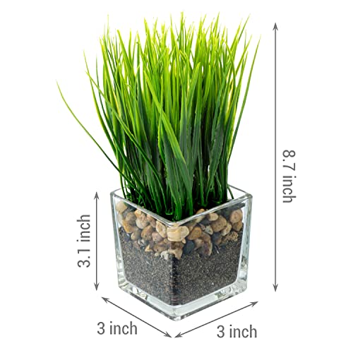 MyGift Artificial Grass Plants in Modern Square Clear Glass Pots with Faux Pebbles and Soil, Decorative Potted Greenery Plant in Tabletop Planter, Set of 2 - color: Clear (Square)
