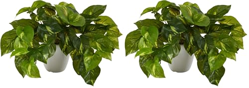 Nearly Natural 9in. Pothos Artificial Plant in White Planter (Real Touch) (Pack of 2) - size: 1 Count (Pack of 2)