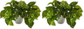 Nearly Natural 9in. Pothos Artificial Plant in White Planter (Real Touch) (Pack of 2) - size: 1 Count (Pack of 2)