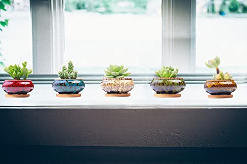 Cute Ceramic Succulent Garden Pots, Planter with Drainage and Attached Saucer, Set of 5 -Plants Not Included (Burner) - color: Burner