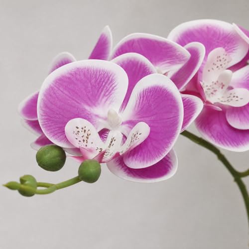6 Purple Orchid Artificial Flowers Real Touch, 23'' Artificial Faux Realistic Latex Orchid Stem Bouquets, Fake Phalaenopsis Flower for Wedding Home Arrangement Décor (6, Rose red + White Edge) - color: Rose Red + White Edge