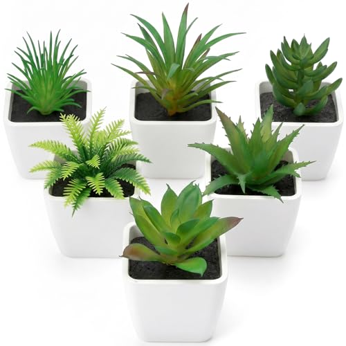 Woration 6pcs Realistic Fake Succulents Plants Potted Decoration Small Artificial Succulent Faux Greenery Model Set for Wedding Holiday Shelves Bathroom Indoor Decor - color: 6pcs White