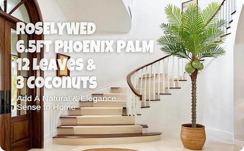 Roselywed Artificial Phoenix Palm Tree 6.5FT with 12 Leaves & 3 Coconut Fruit & Real Bark Tropical Areca Sago Palm Tall Large Faux Plant 78 Inch Black Pot for Indoor Outdoor Home Poolside Mall Decor - size: 6ft 6in