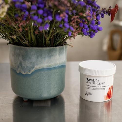 FloraLife Crystal Clear - Flower Food Powder for Fresh-Cut Flowers, Vases & Floral Foam - 10 oz
