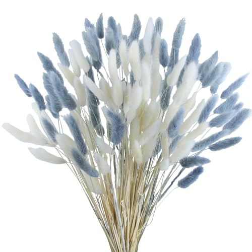 CISDUEO 120pcs Dried Bunny Tails Flowers Lagurus Ovatus Tail Dried Flowers Pampas Grass White and Gray Natural Dried Floral Arrangement for Boho Decor Home Wedding DIY Farmhouse Table Christmas (17") - color: White and Grey
