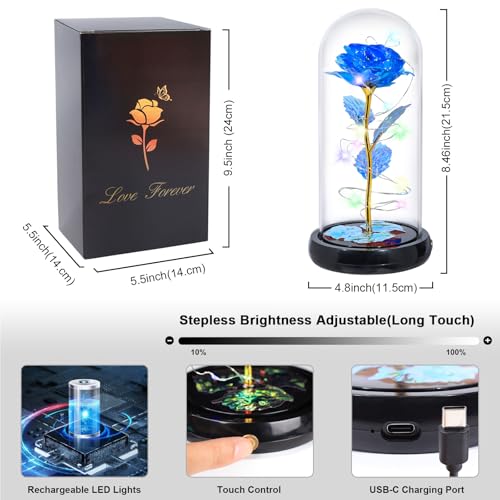 Mothers Day Flowers Gifts for Mom Women Birthday Gift Rechargeable Galaxy Glass Rose in Glass Dome Forever Crystal Eternal Rose Anniversary Mothers Day Roses Gifts for Daughter Wife Women Grandma Blue - color: Usb-c Blue