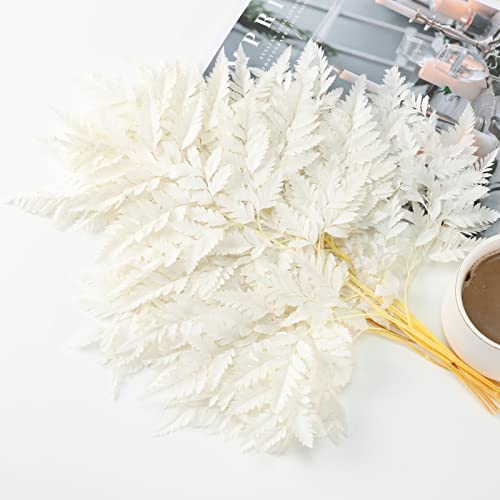 Fern Preserved Black Ferns, 10 PCS Dried Boston Fern with Stems, 15'' Real Leaves for Dried Flowers Arrangements Wedding Garland Bouquets Home Party Centerpiece Table Decorations Vase Filler