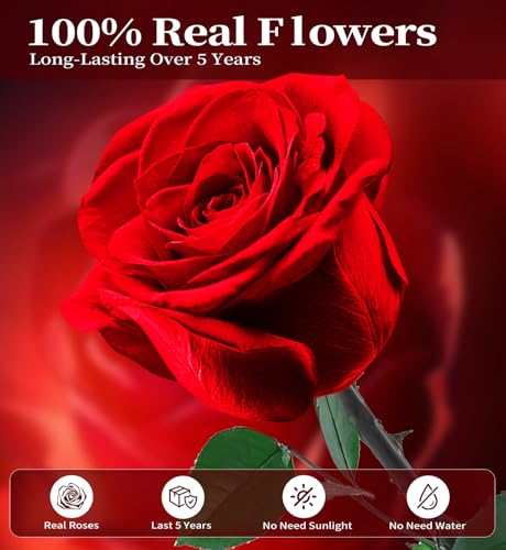 Preserved Flowers for Delivery,Red Rose Bouquets That Last 5 Years,Birthday Flowers Gifts for Women Mom Grandma Wife Friends,Mothers Day Roses Gift,Romantic Floral for Anniversary or Valentine’s Day - color: Red, size: Single Rose