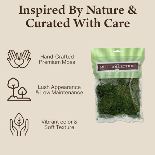 Preserved Sheet Moss - Premium Decorative Moss for Crafts, Home Décor, Art, Design & DIY Projects - Real Moss- Non-Toxic - USA-Made- (2-Pack Small, Green) - color: Sheet Moss, size: Small (2-Pack)