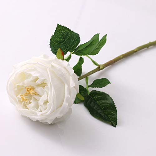 WILD WORKS Artificial Austin Roses, 4 Pcs Real Touch Fake Flowers with Moist Fabric Petals, 17.7 Inch Fake Peonies for Mother's Day Wedding Home Decor (White) - color: White 4pcs