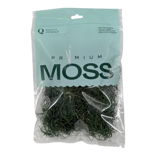 Preserved Spanish Moss - Decorative Moss - Dried Moss for Crafts, Home Decor, Art, Design & DIY Projects - for Indoor Use - Forest Green - Medium Size - color: Forest Green, size: Medium