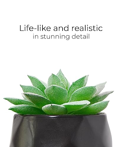 Nordik Set of 4 Desk Plants - Geometric Round Black Pots - Perfect for Bathroom, Bedroom Decor Aesthetic - Ceramic Fake Plant for Office or Living Room Decor - Ideal for Women - color: Matte Black