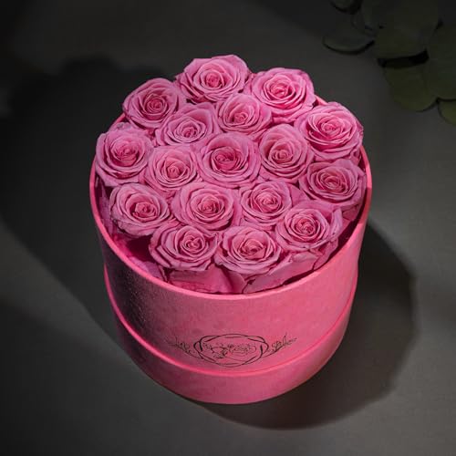 Prifroti 17 Flowers in a Velvet Pink Box, Birthday Gifts for Women, Preserved Flowers, Mothers Day Roses Gift for Mom, Pink - color: Pink | Pink Box, size: 17 Roses