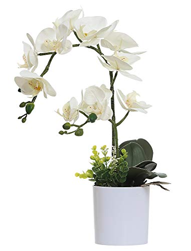 White Orchid Artificial Flowers in Pot, Fake Plastic Orchid Flowers, Decoration for Home Office Wedding(White 2 Bouquets) - color: White 2 Bouquets