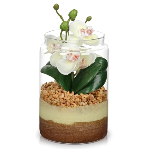 White Orchids Artificial Flowers with Vase, Small Faux Orchid Arrangement Fake Orchids Plant in Terrarium Jar Small White Orchid Centerpieces for Kitchen Dining Room Tables Bathroom Nightstand Decor - color: White +Beige &Brown Sand