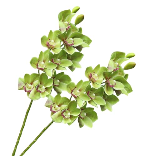 XZJMY 28.4" Artificial Phalaenopsis Flowers,Latex Phalaenopsis Branches,3D Faux Cymbidium Flowers 10 Large Petals Orchids for Home Décor (2, Green)