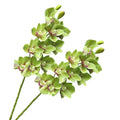 XZJMY 28.4" Artificial Phalaenopsis Flowers,Latex Phalaenopsis Branches,3D Faux Cymbidium Flowers 10 Large Petals Orchids for Home Décor (2, Green)