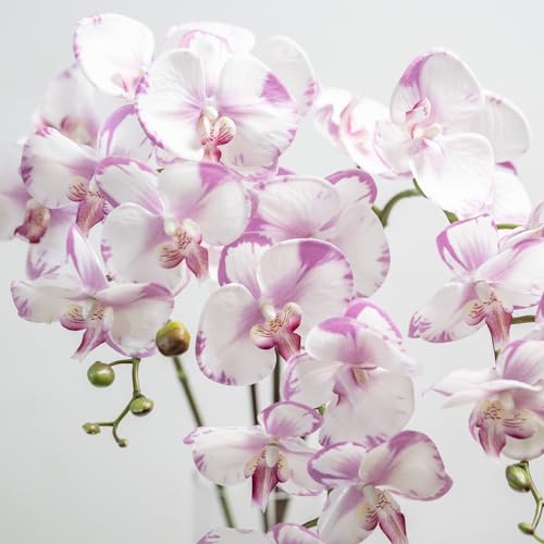 DUYONE 35 Inch Artificial Butterfly Orchid Flowers 4 Pcs softTouch Orchid Fake Phalaenopsis Flowers Stem Plants for Wedding Home Decoration (Light Purple 4pcs) - color: Light Purple 4pcs (Not Include Vases)